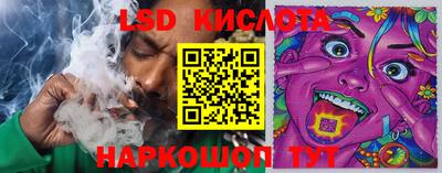 ECSTASY Ачхой-Мартан