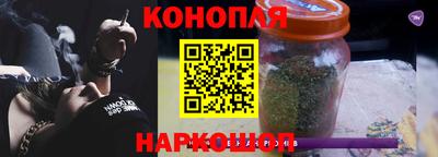 крисы Белореченск