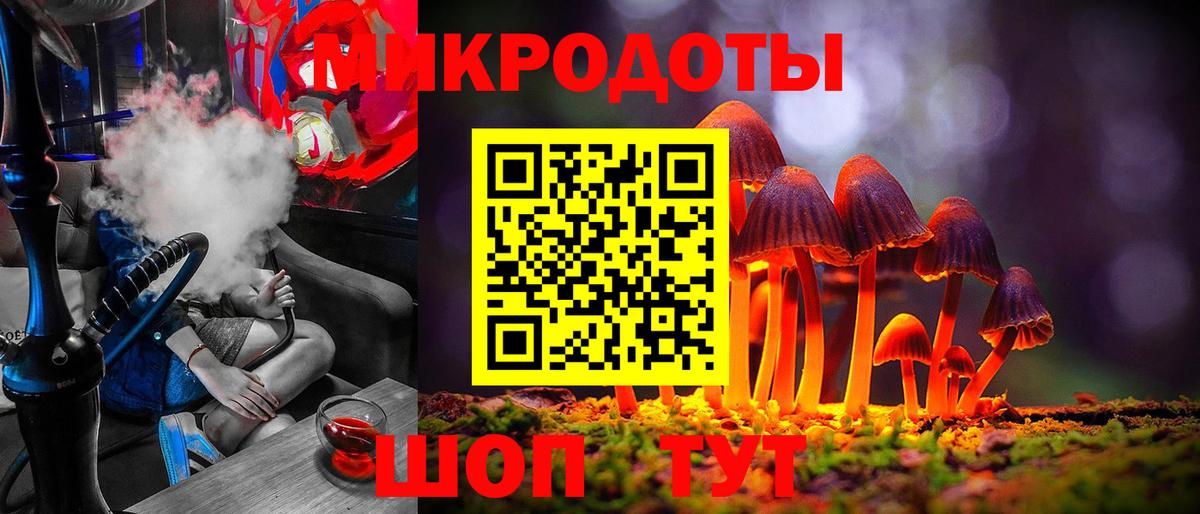 Псилоцибиновые грибы Psilocybe Белая Калитва