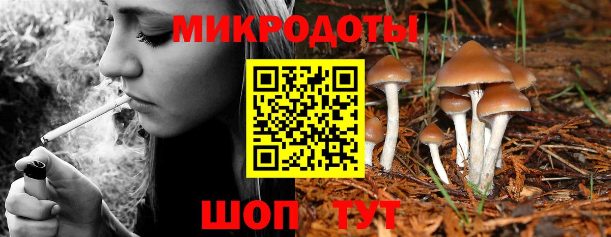 Белая Калитва  Псилоцибиновые грибы прущие грибы  Псилоцибиновые грибы мицелий  Вход с VPN 